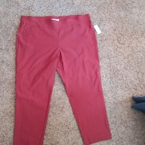 jones studio plus size pants